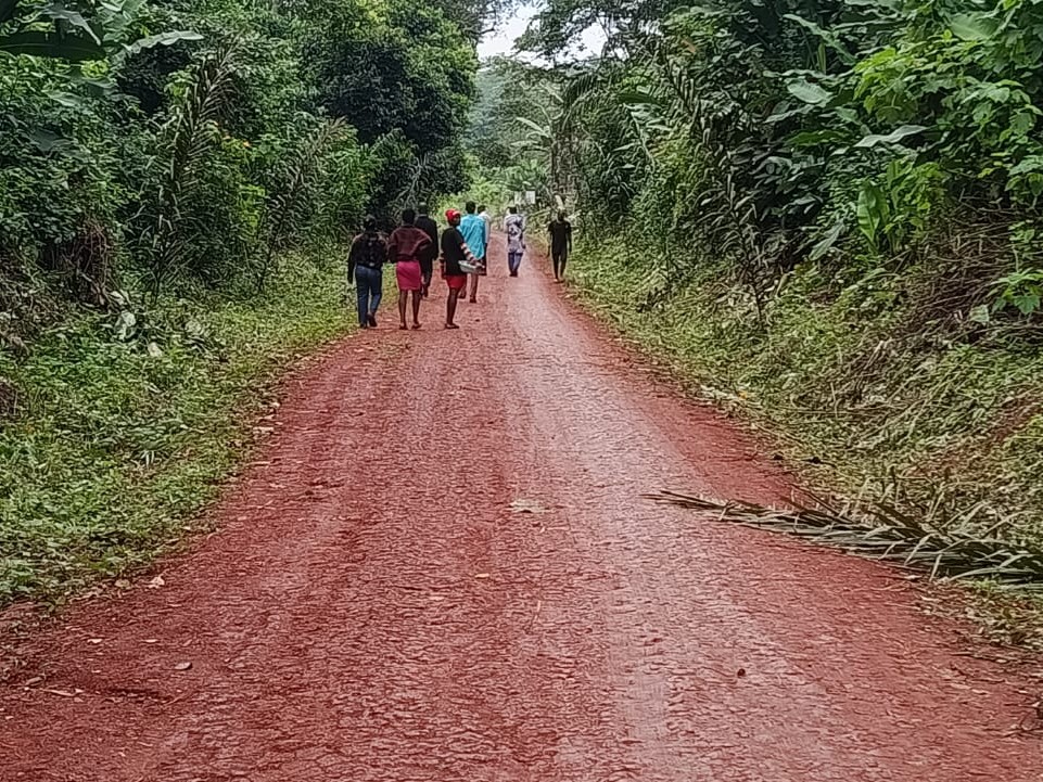 le chemin