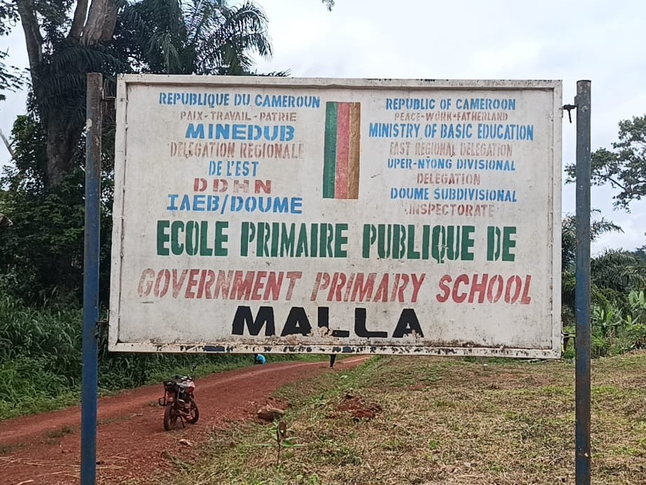 plaque